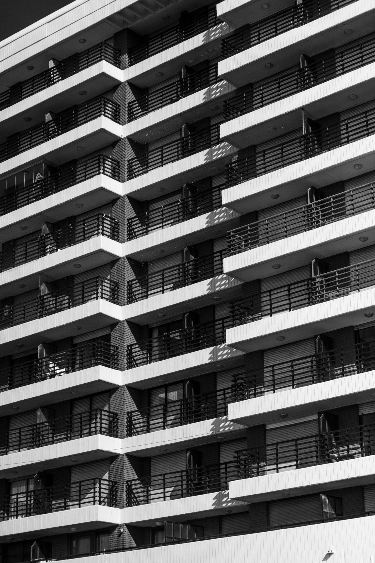 pexels-alex-dos-santos-305643819-31900250